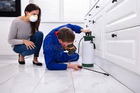 Real Estate Pest Inspections in Rio Verde, AZ